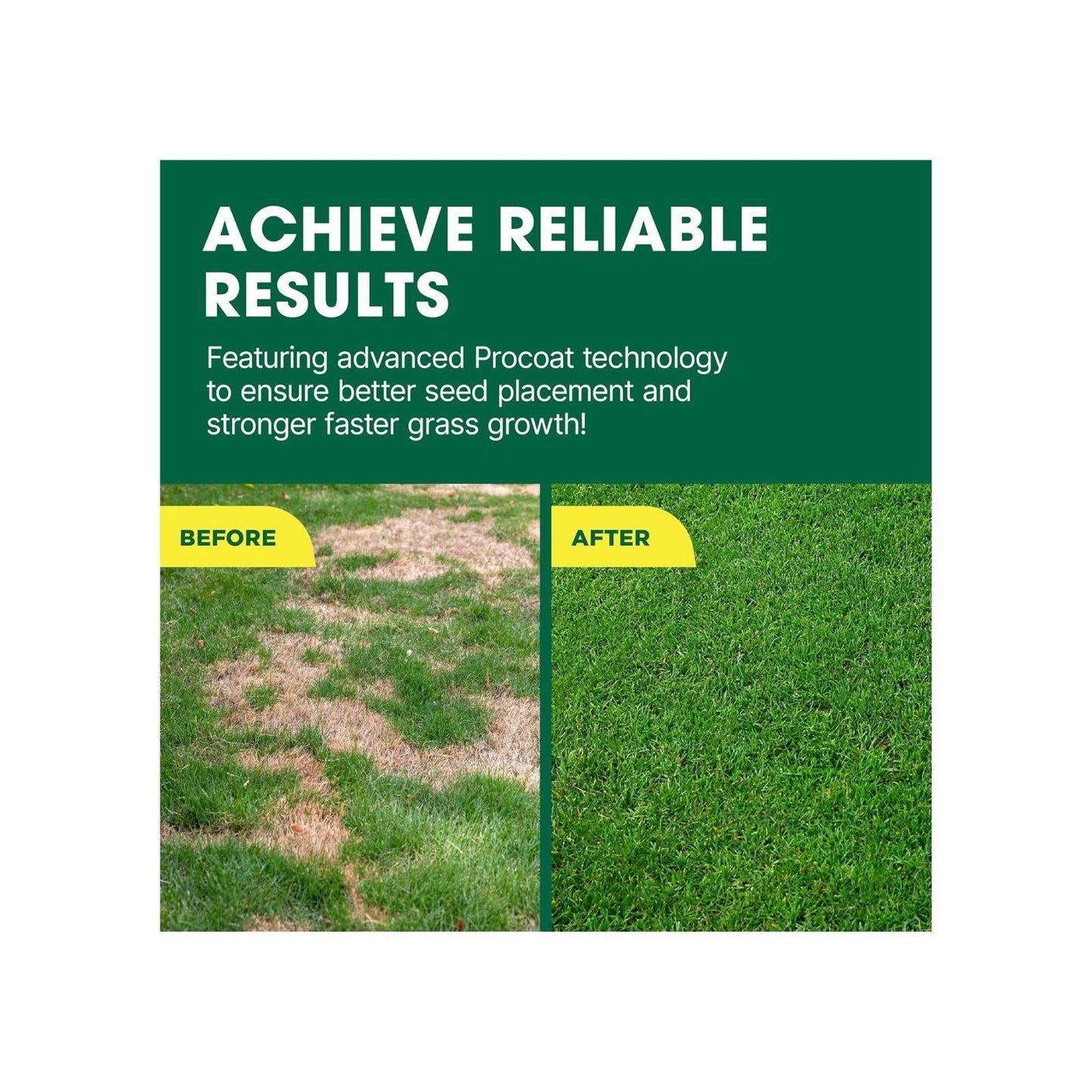 Doff Multipurpose Lawn Seed Plus Procoat - 500g