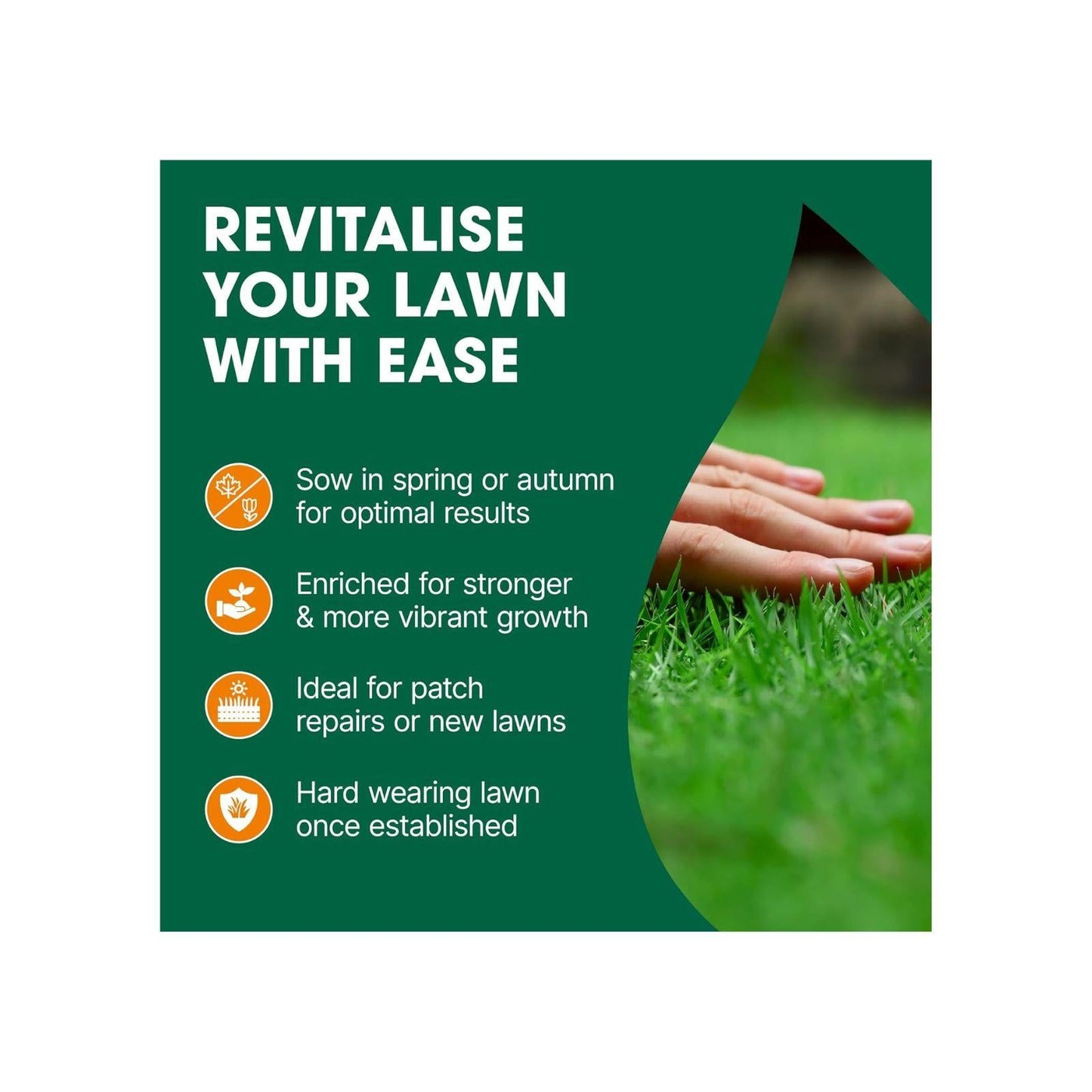 Doff Multipurpose Lawn Seed Plus Procoat - 500g